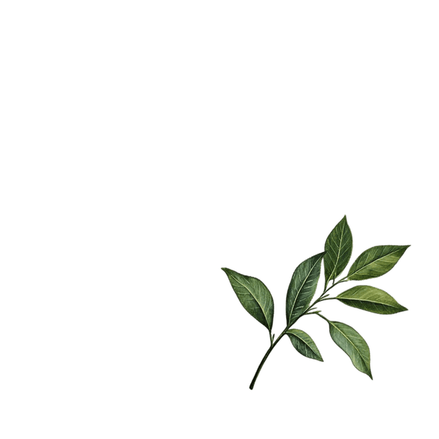 Leaf decoration